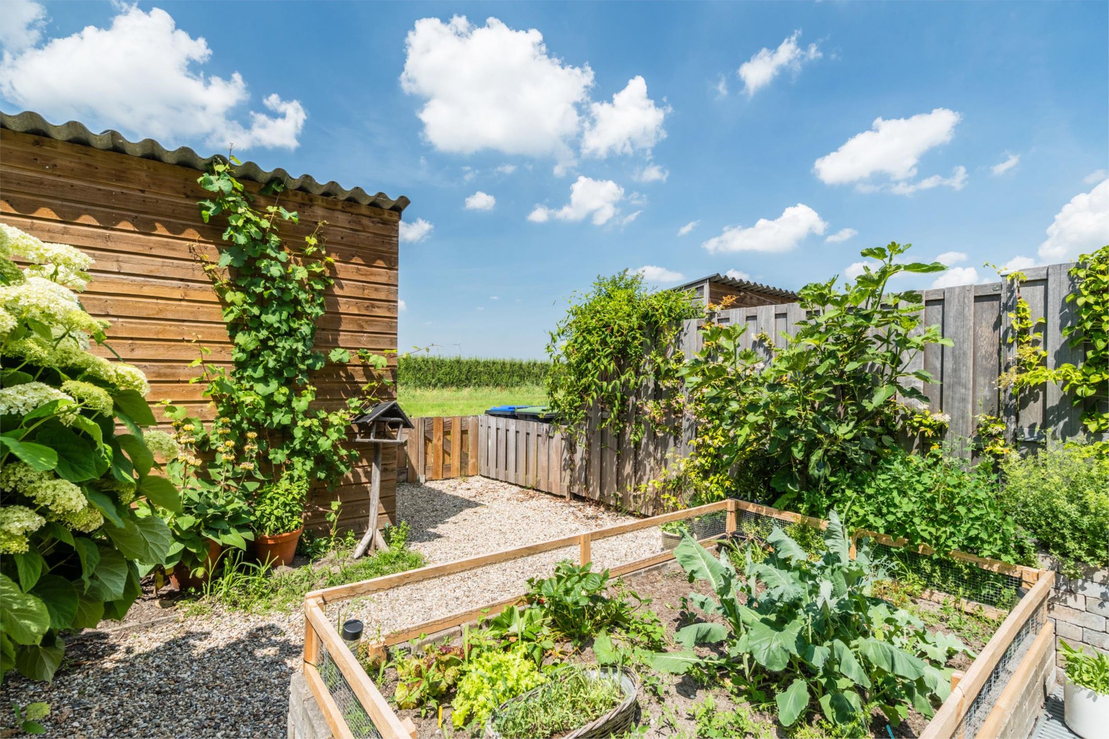 Foto 48 van Kerkebogerd 29