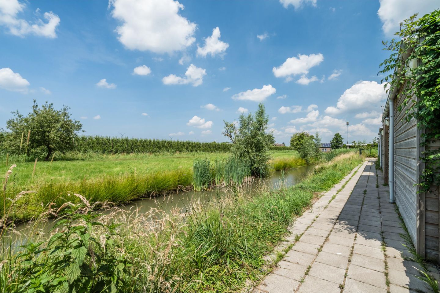 Foto 50 van Kerkebogerd 29