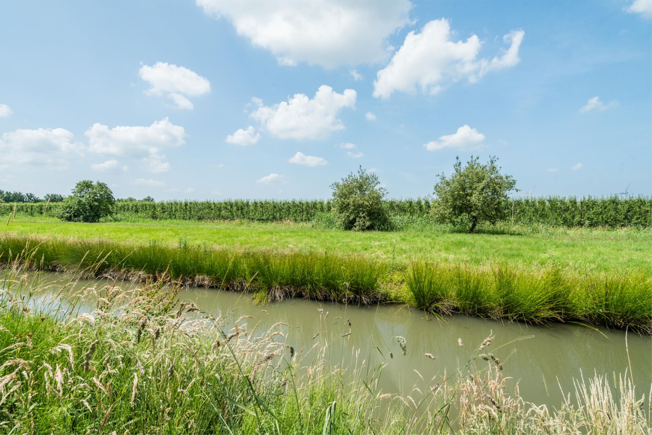 Foto 51 van Kerkebogerd 29