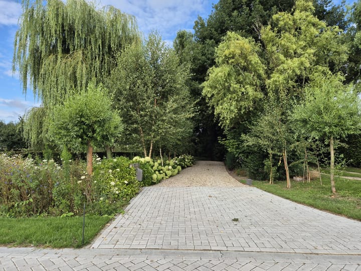 Foto 6 van Gelders Benedeneind 6-A