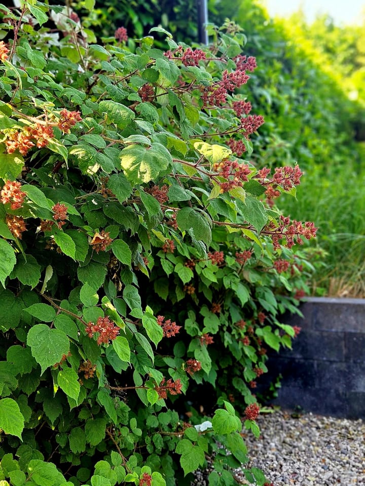 Foto 63 van Gelders Benedeneind 6-A