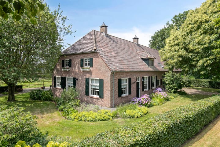 De Stad 6