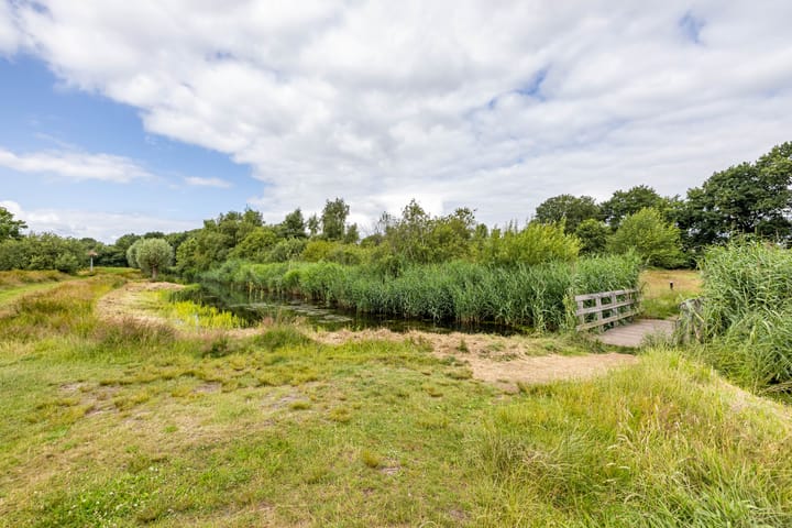 Foto 3 van Podzolhamel 22