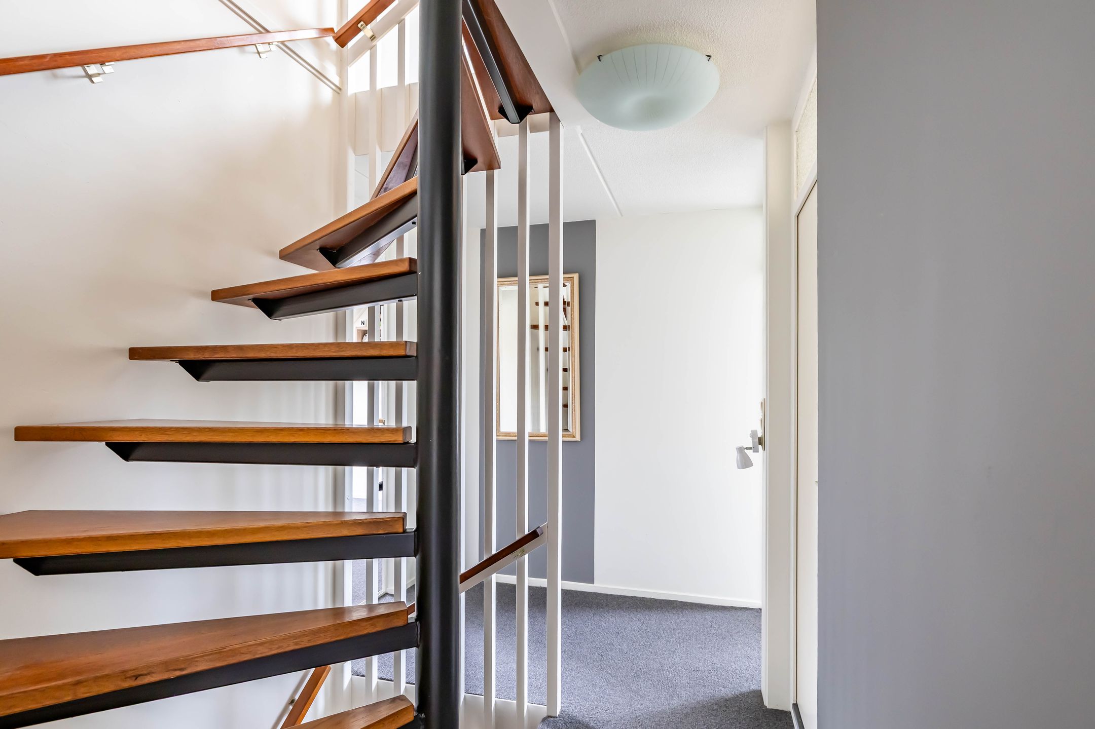 Foto 45 van Podzolhamel 22