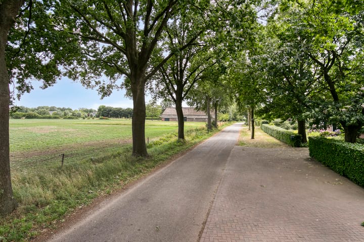 Foto 69 van De Stad 6