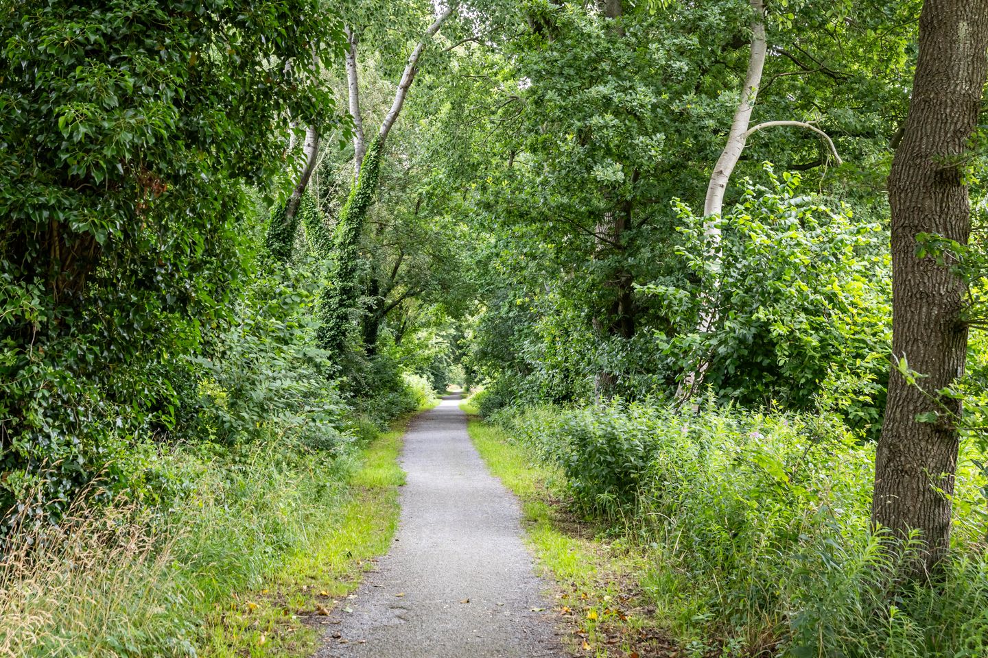 Foto 74 van Podzolhamel 22