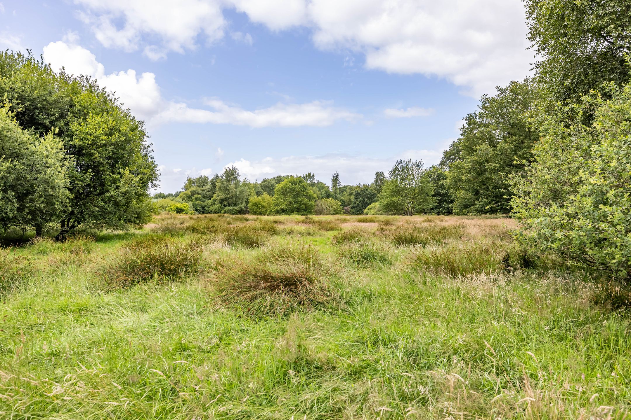 Foto 75 van Podzolhamel 22