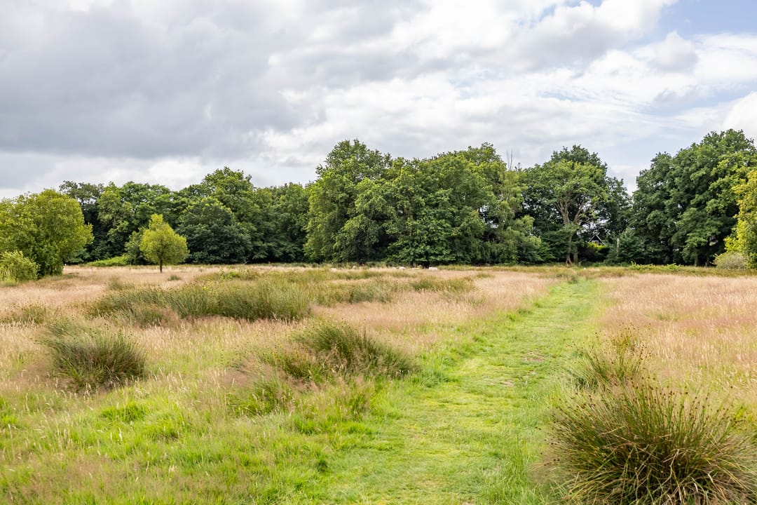 Foto 76 van Podzolhamel 22