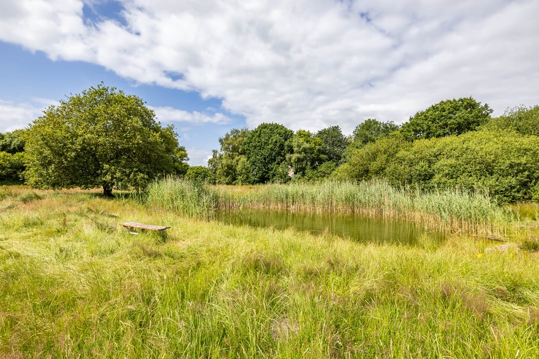 Foto 77 van Podzolhamel 22