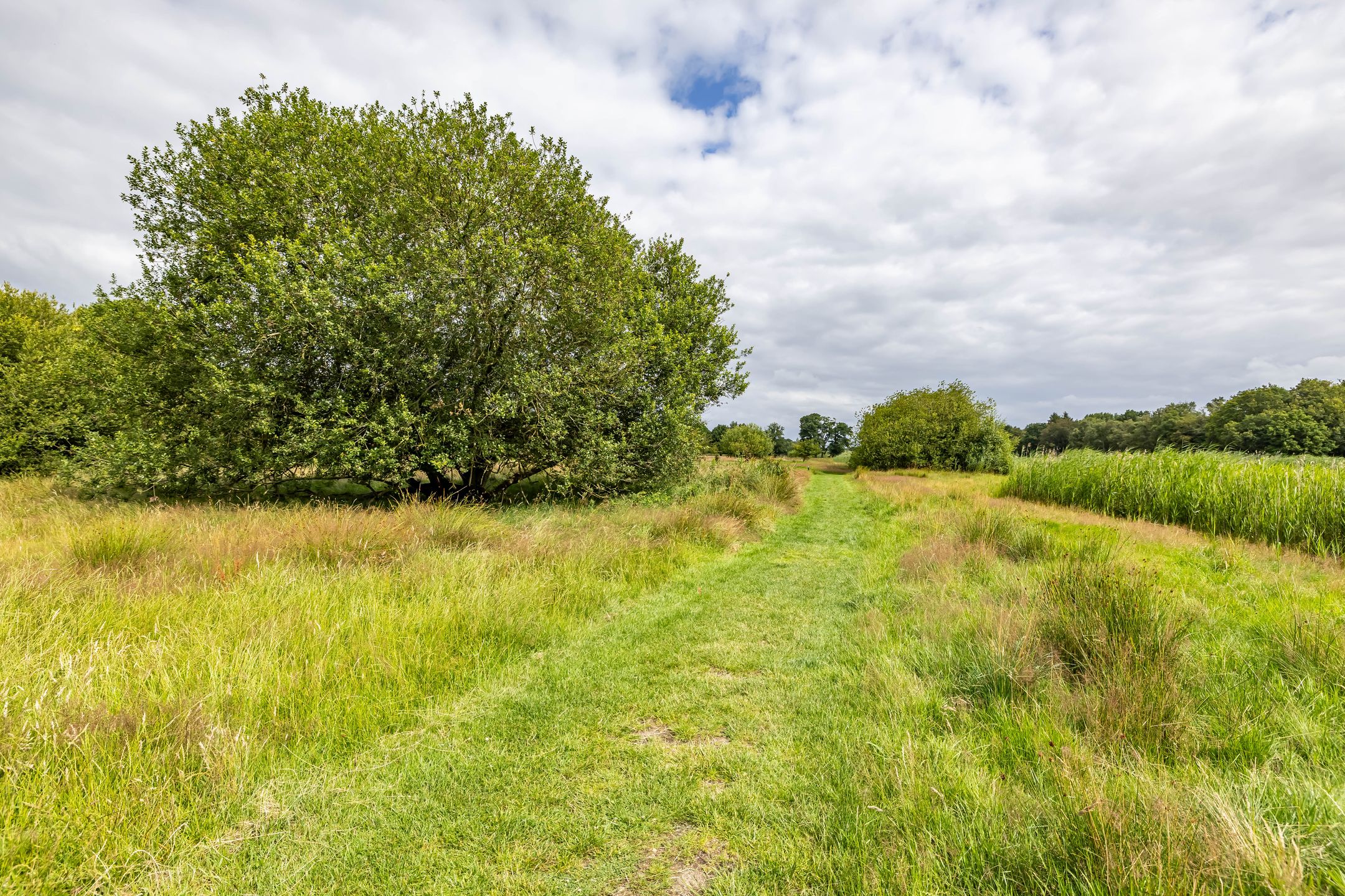 Foto 78 van Podzolhamel 22