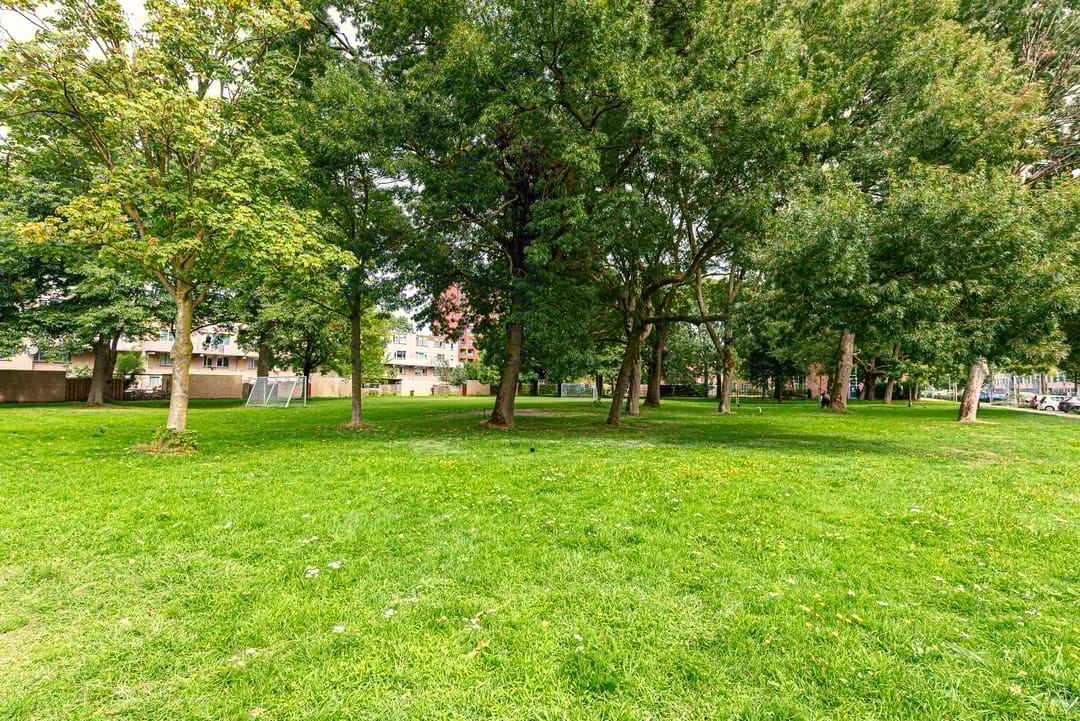 Photo 31 of Milosdreef 53