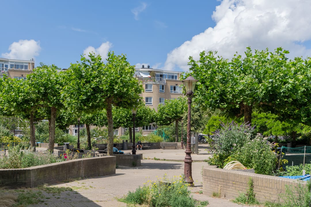 Foto 31 van Schoolmeesterstraat 40