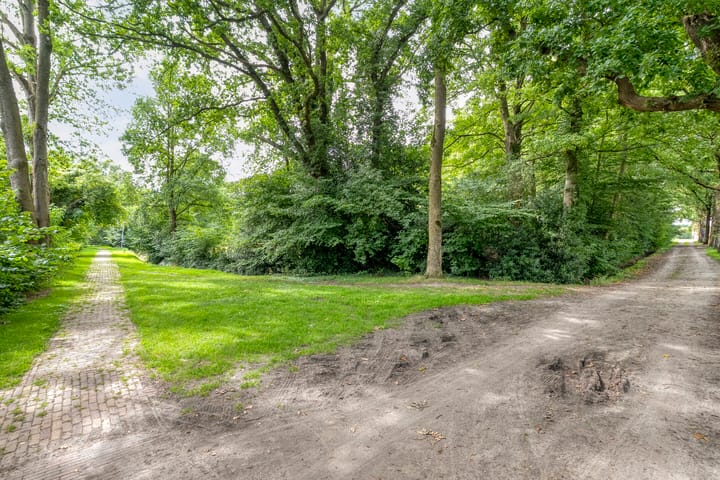 Photo 47 of De Weijert 8