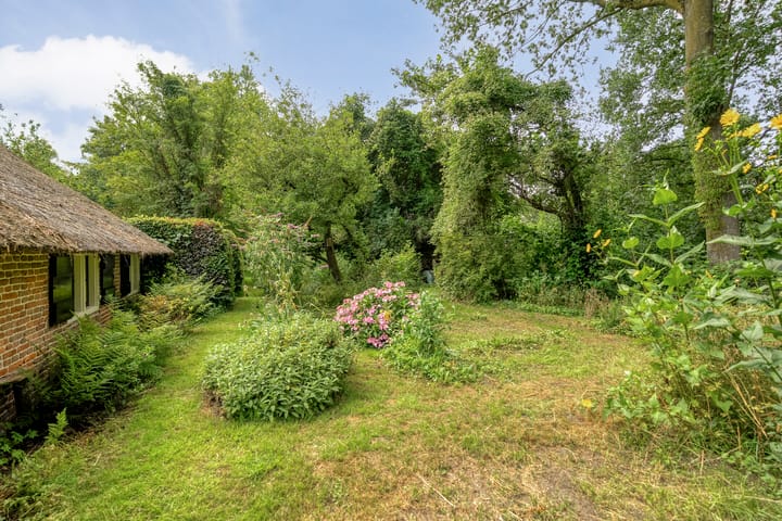 Photo 50 of De Weijert 8