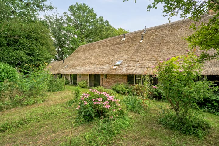 Photo 51 of De Weijert 8