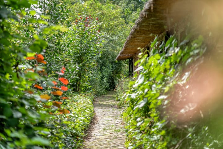 Photo 57 of De Weijert 8