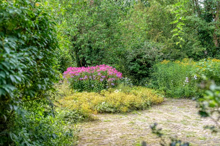 Photo 58 of De Weijert 8