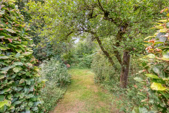 Photo 64 of De Weijert 8