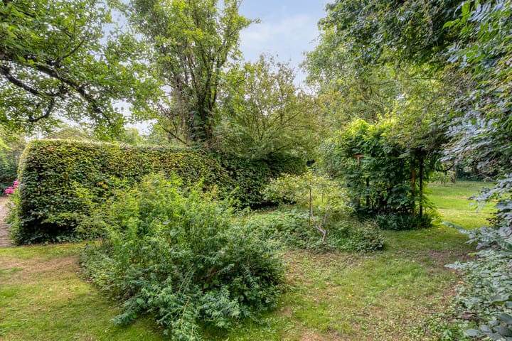 Photo 65 of De Weijert 8