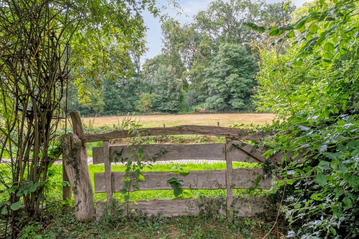 Photo 67 of De Weijert 8