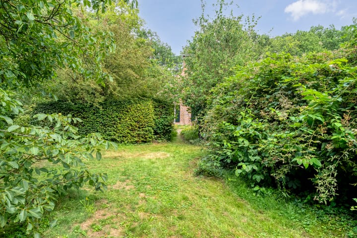 Photo 70 of De Weijert 8