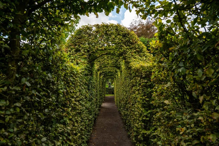 Foto 33 van Dorpsplein 35