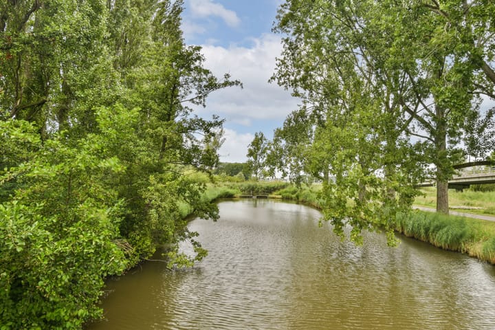 Foto 31 van Van 't Hoffstraat 10