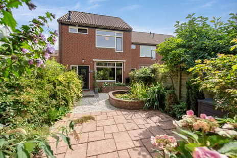 undefined main image