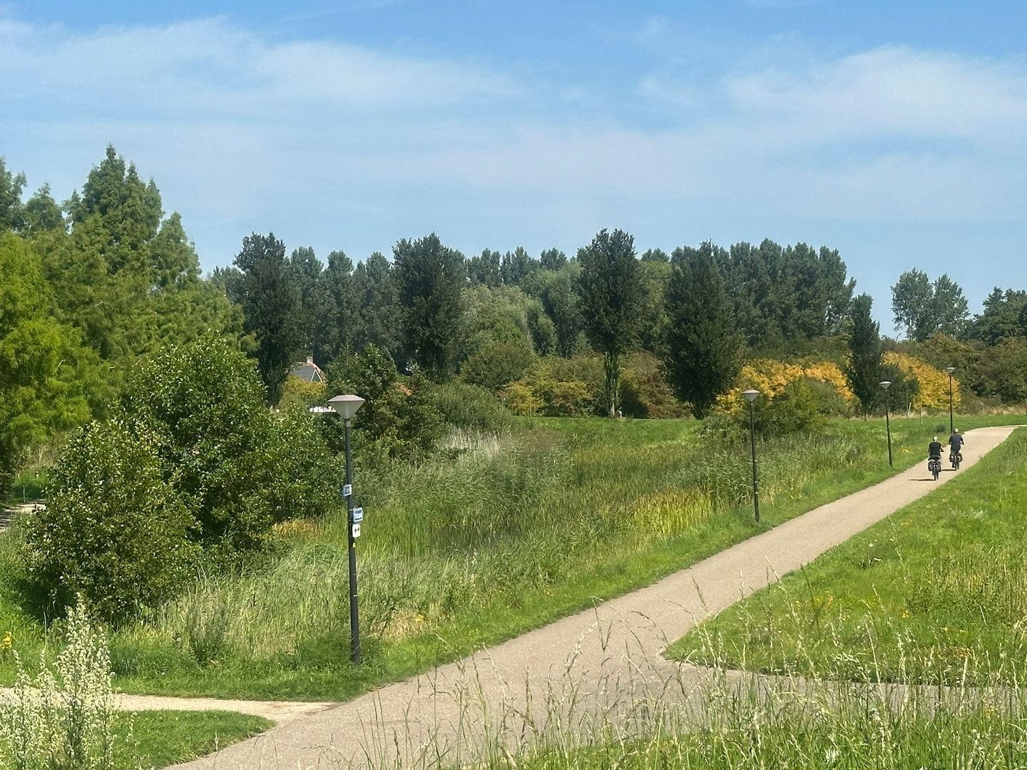 Foto 40 van Reling 71