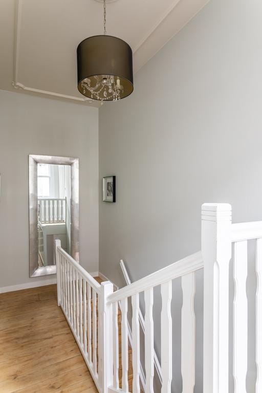 Photo 29 of Hooistraat 1-A