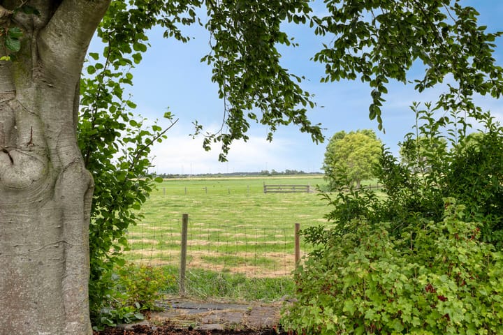 Foto 27 van Weereweg 74