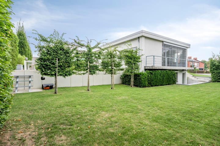 Foto 28 van Maasheuvel 52