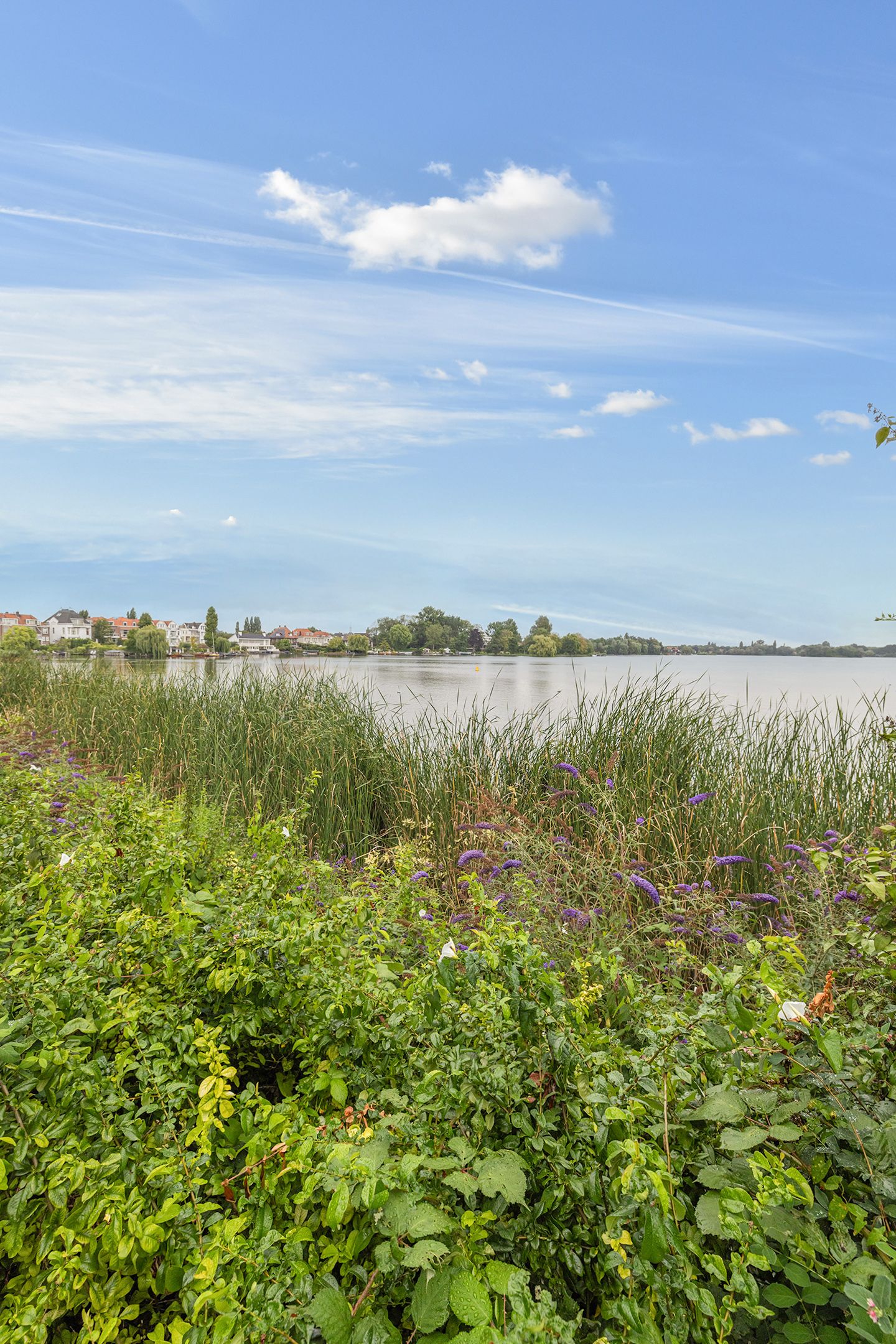 Foto 25 van Willem van Hillegaersbergstraat 117-B