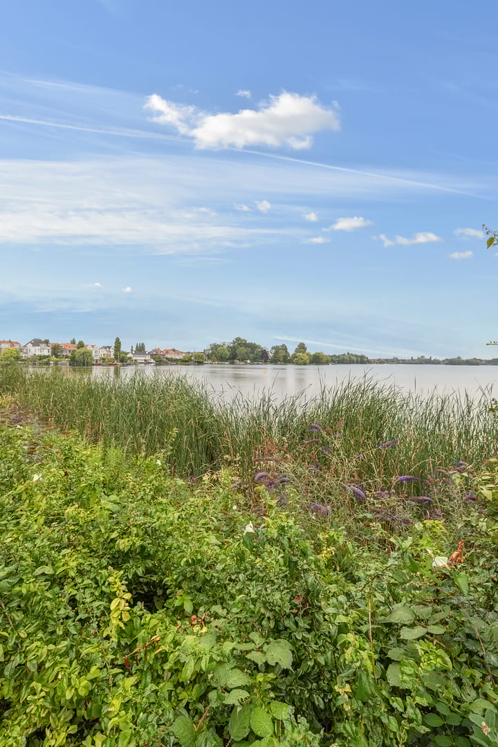 Foto 25 van Willem van Hillegaersbergstraat 117-B