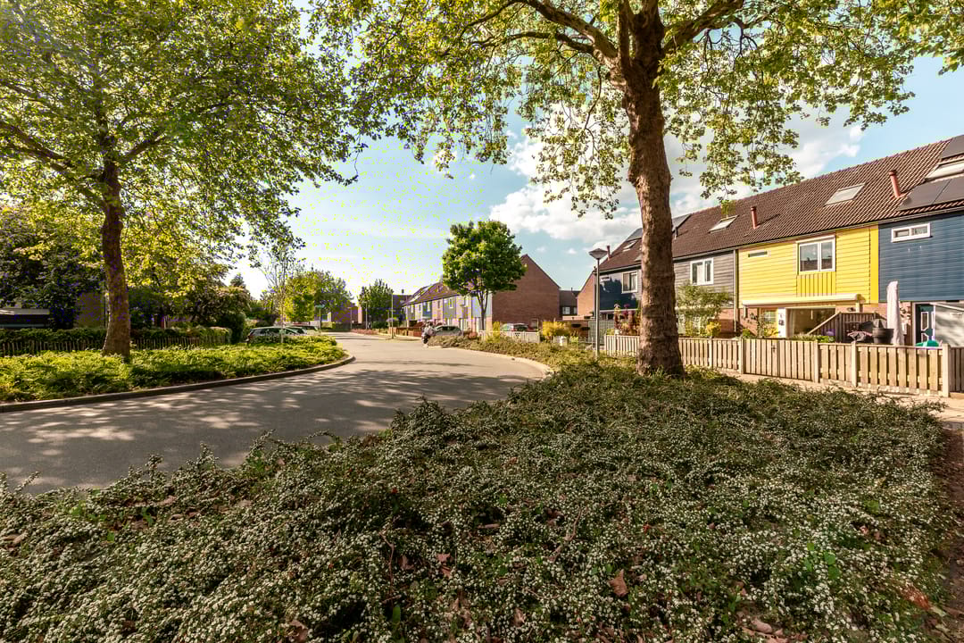 Foto 26 van Horst 20 20