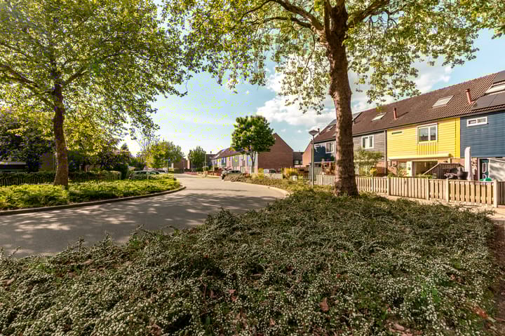 Foto 26 van Horst 20 20