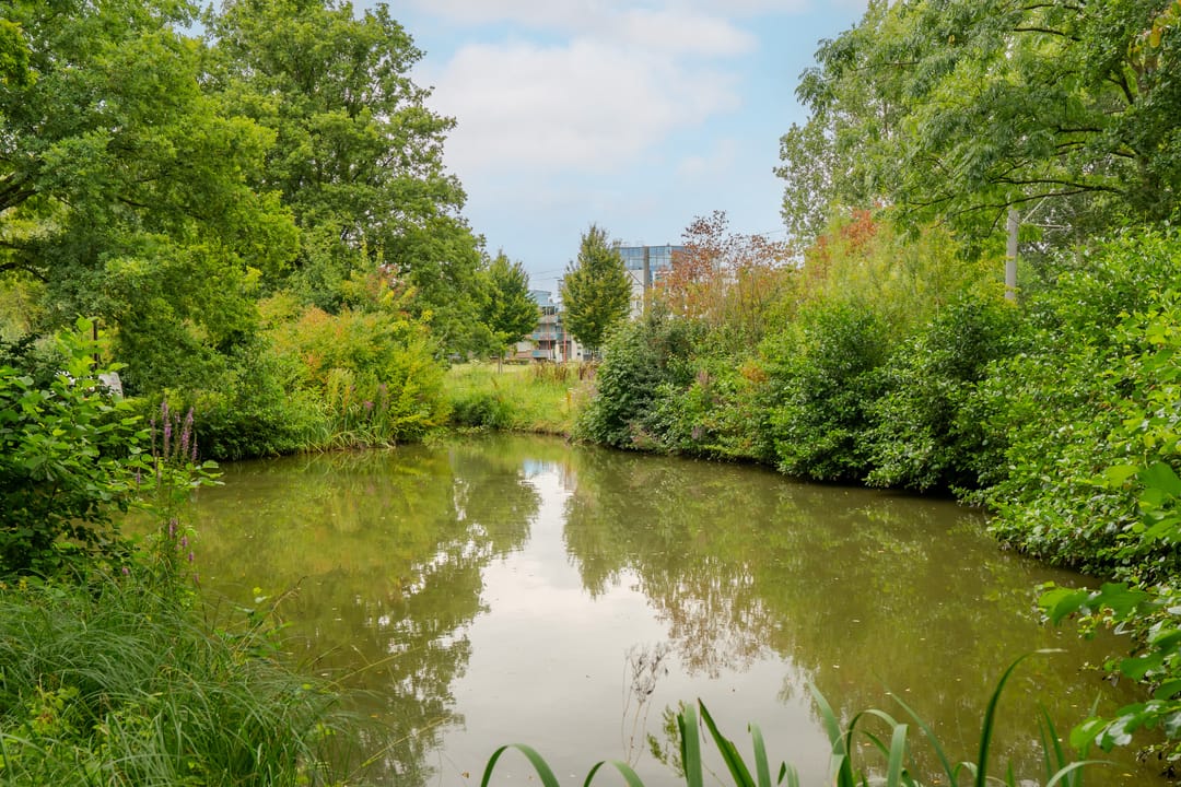 Photo 17 of Zwolseveste 71