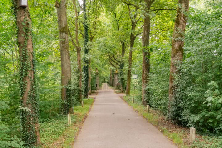 Foto 19 van Zwolseveste 71