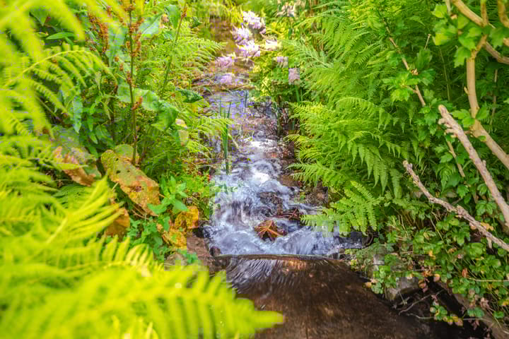 Foto 2 van Willem van Gulikstraat 20