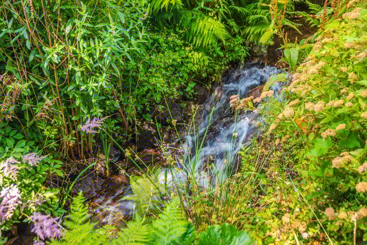 Foto 50 van Willem van Gulikstraat 20