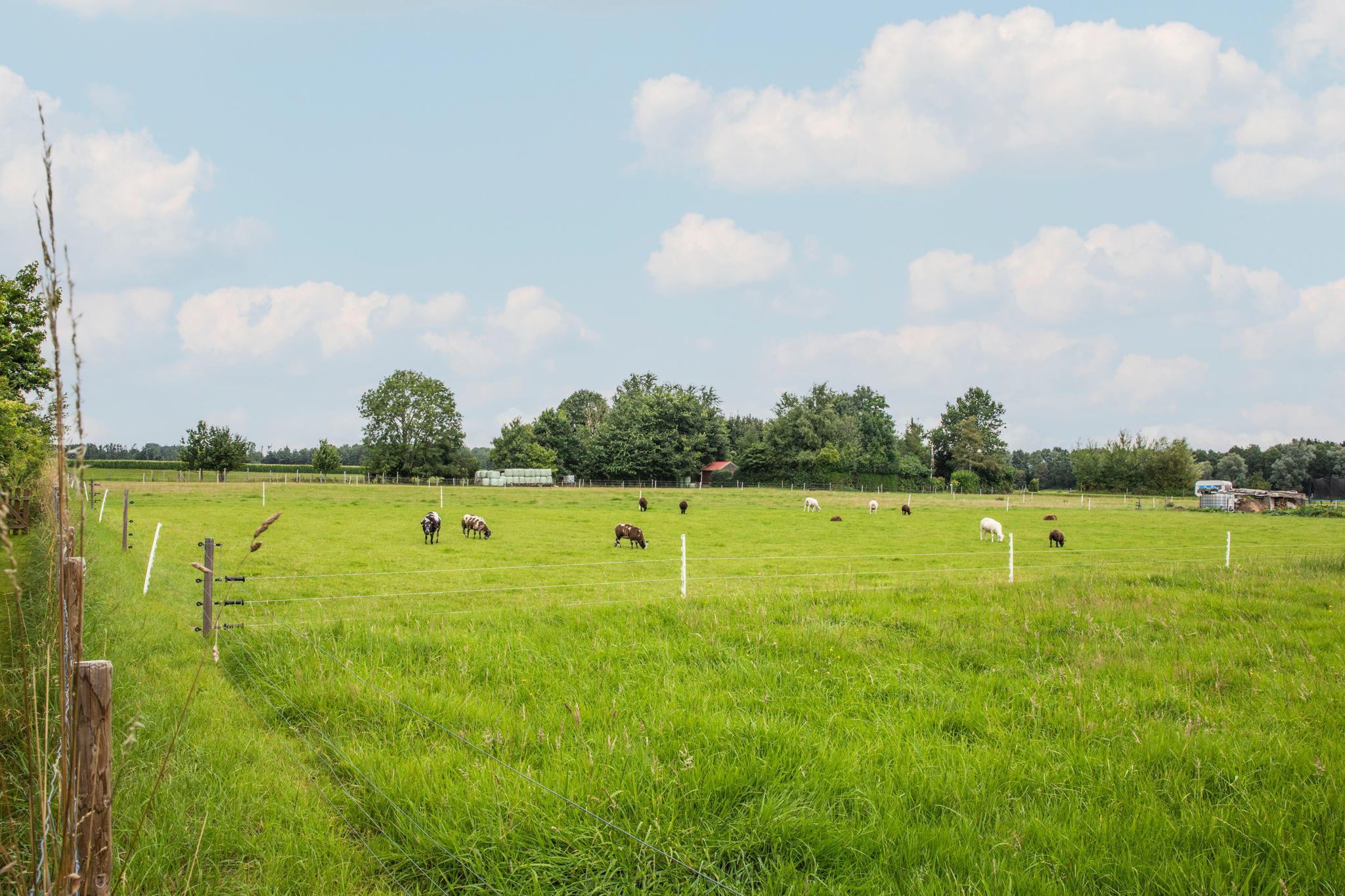 Foto 45 van 1e Garstelaan 5-B