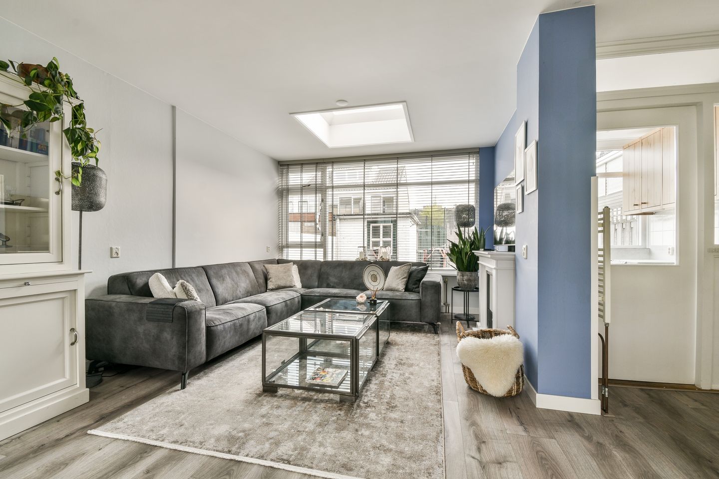 Foto 4 van Linnaeushove 6