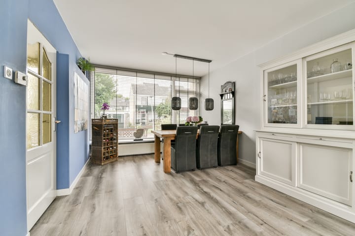 Foto 5 van Linnaeushove 6