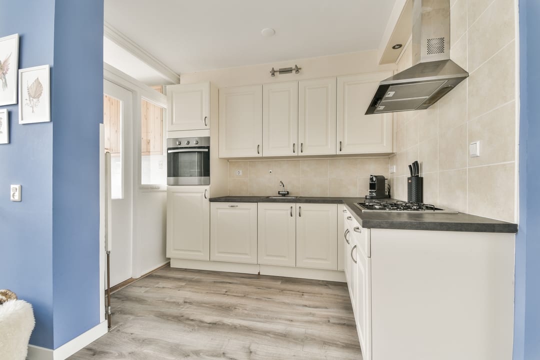 Foto 7 van Linnaeushove 6