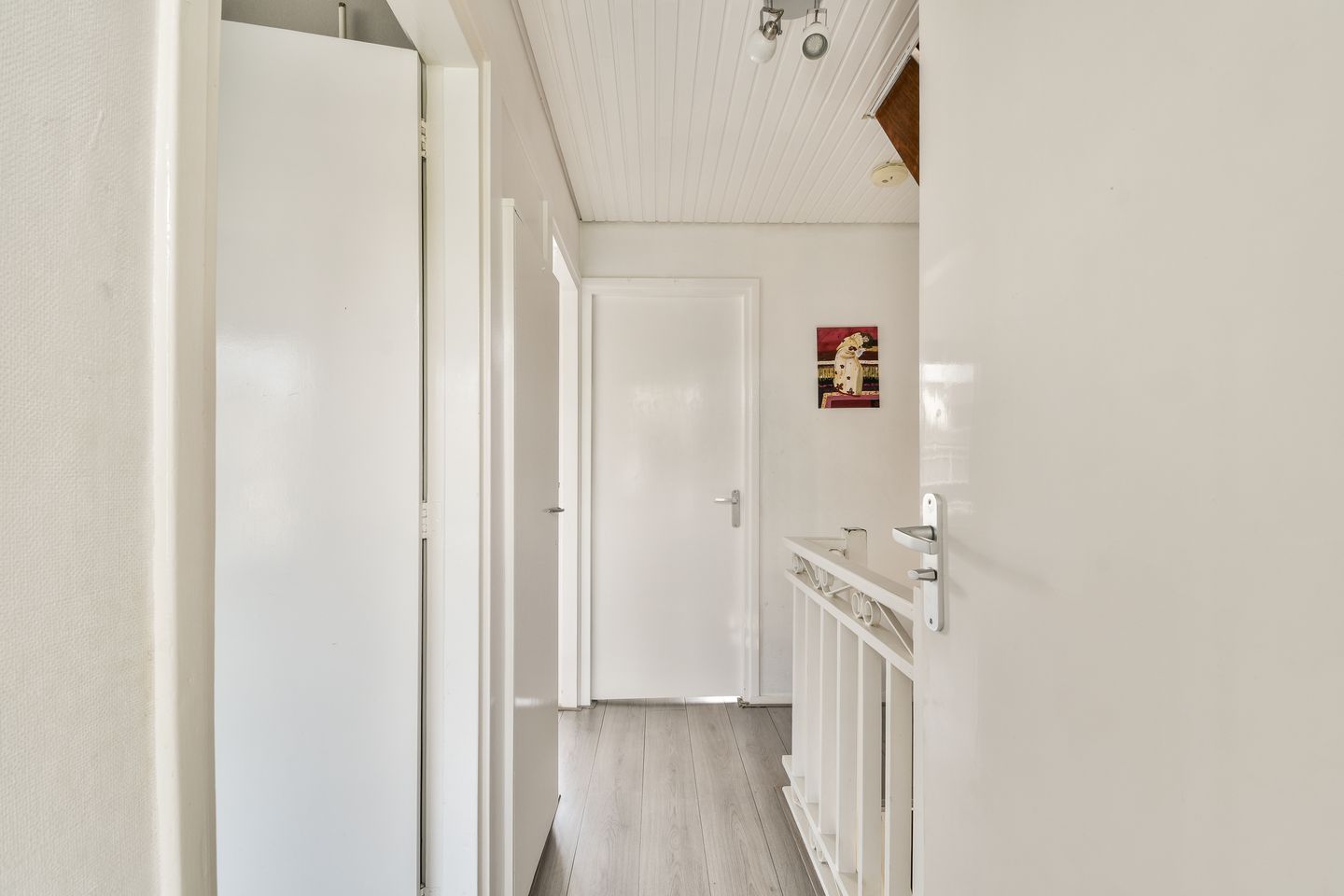 Foto 19 van Linnaeushove 6