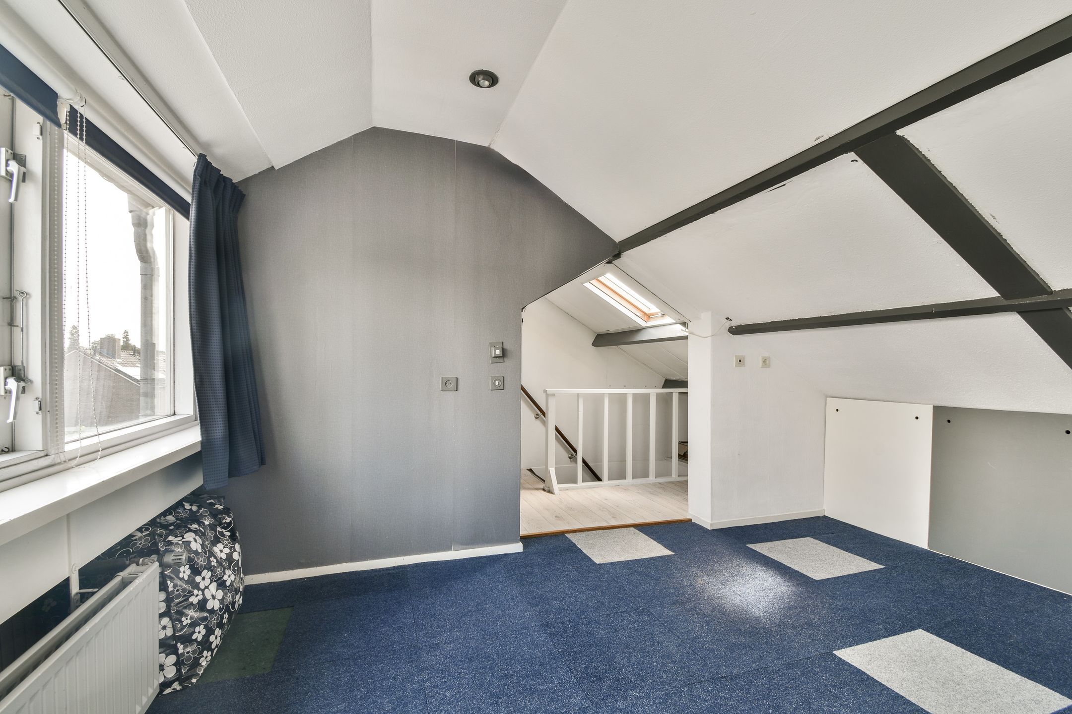 Foto 27 van Linnaeushove 6