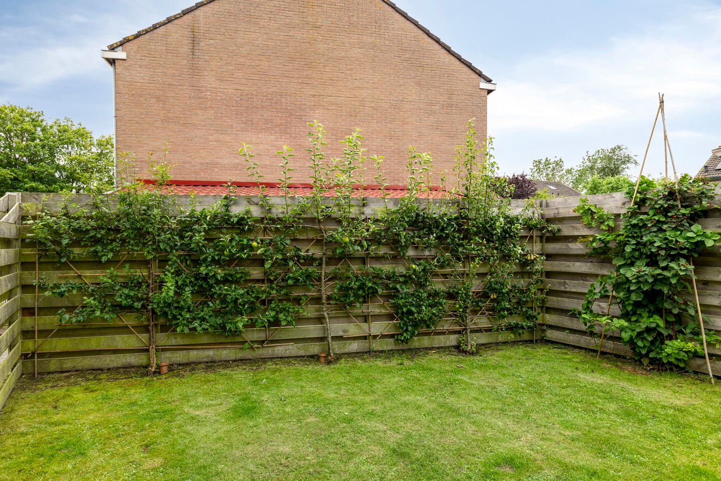 Foto 65 van Fazant 21