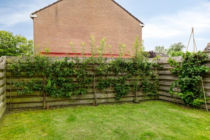 Foto 65 van Fazant 21