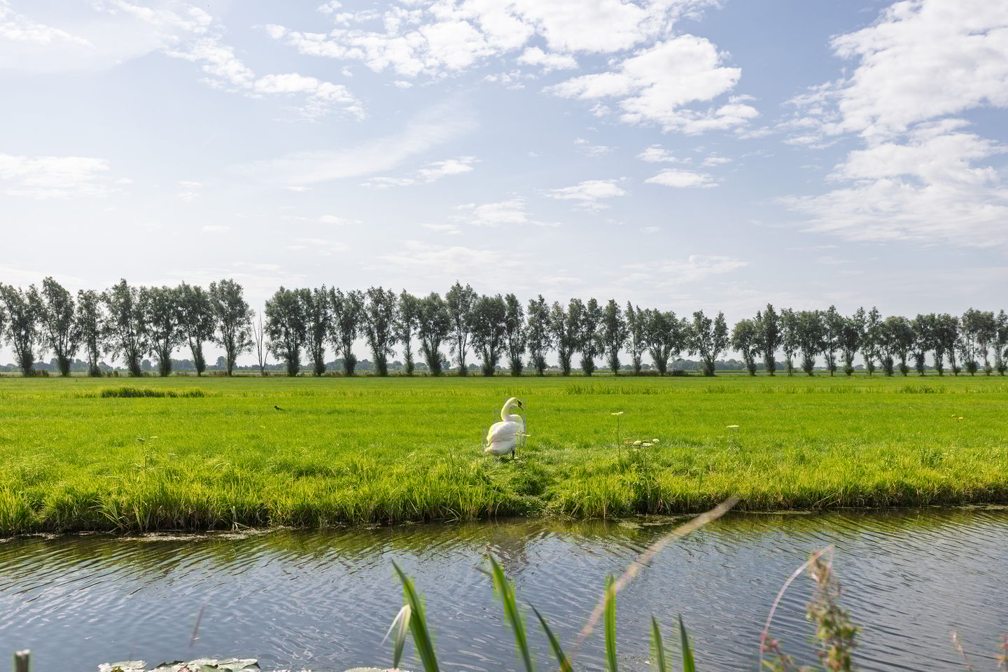 Foto 29 van Reigersweide 176