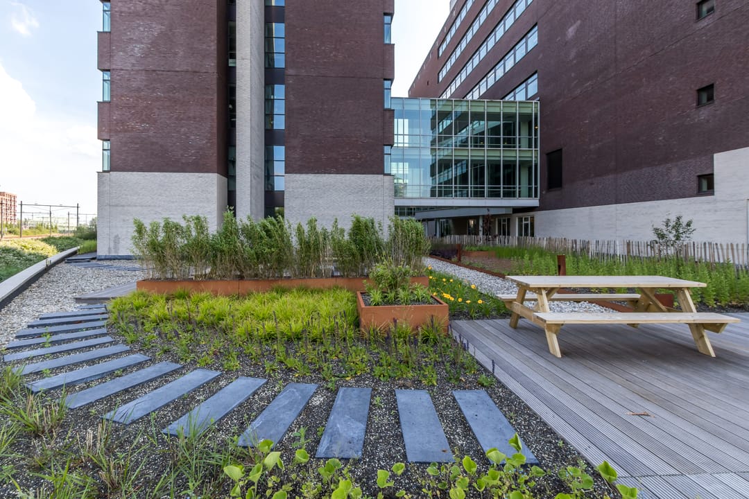 Photo 2 of Zuidpoolsingel 69